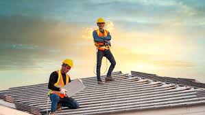 Best Roof Moss and Algae Removal  in Storm Lake, IA